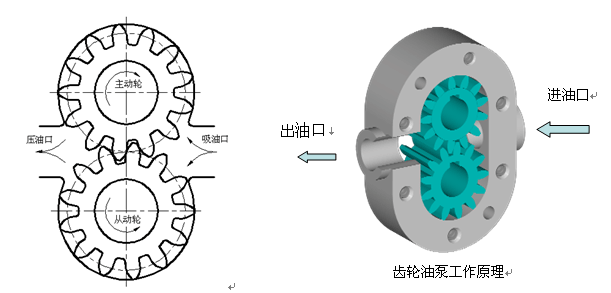 齿轮泵工作原理(图文教程),一个,第3张 齿轮泵工作原理(图文教程),齿轮泵工作原理,一个,第3张