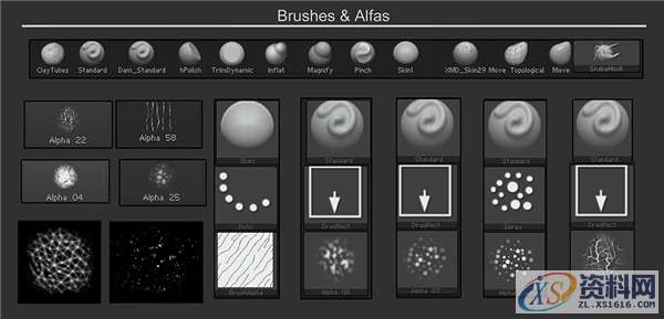 用ZBrush雕刻软件制作人物肖像的经验分享,制作,第2张