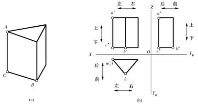 机械制图教程-(2.3)点、直线、平面的投影(图文教程),教程,制图,直线,投影,第3张 机械制图教程-(2.3)点、直线、平面的投影(图文教程),机械制图教程-(2.3)点、直线、平面的投影,教程,制图,直线,投影,第3张