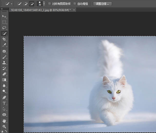 PS利用快速蒙版及调整边缘快速抠出白猫教程(图文教程),选择,这个,半径,第4张 PS利用快速蒙版及调整边缘快速抠出白猫教程(图文教程),PS利用快速蒙版及调整边缘快速抠出白猫教程,选择,这个,半径,第4张