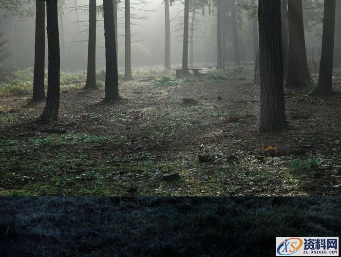 PS合成小孩走入奇幻森林场景教程(图文教程),设计,一般,选择,第13张 PS合成小孩走入奇幻森林场景教程(图文教程),PS合成小孩走入奇幻森林场景教程,设计,一般,选择,第13张