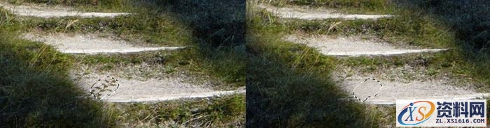 PS合成小孩走入奇幻森林场景教程(图文教程),设计,一般,选择,第7张 PS合成小孩走入奇幻森林场景教程(图文教程),PS合成小孩走入奇幻森林场景教程,设计,一般,选择,第7张