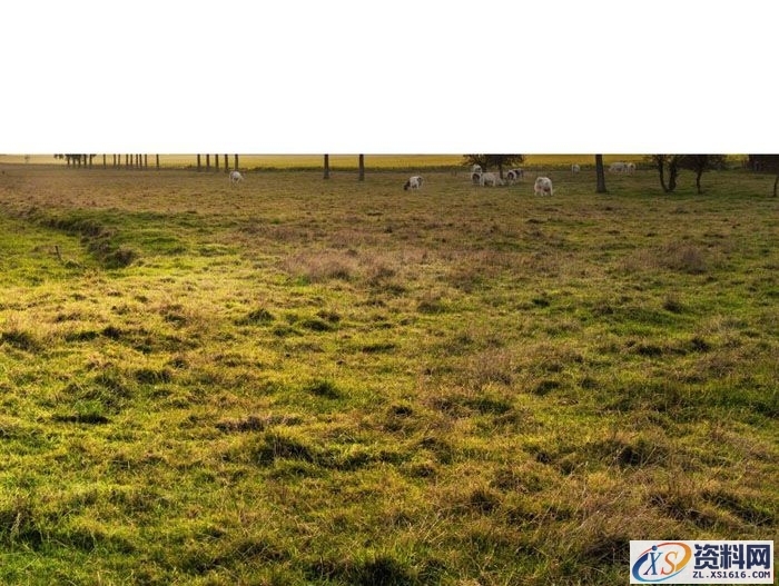 PS合成小孩走入奇幻森林场景教程(图文教程),设计,一般,选择,第5张 PS合成小孩走入奇幻森林场景教程(图文教程),PS合成小孩走入奇幻森林场景教程,设计,一般,选择,第5张