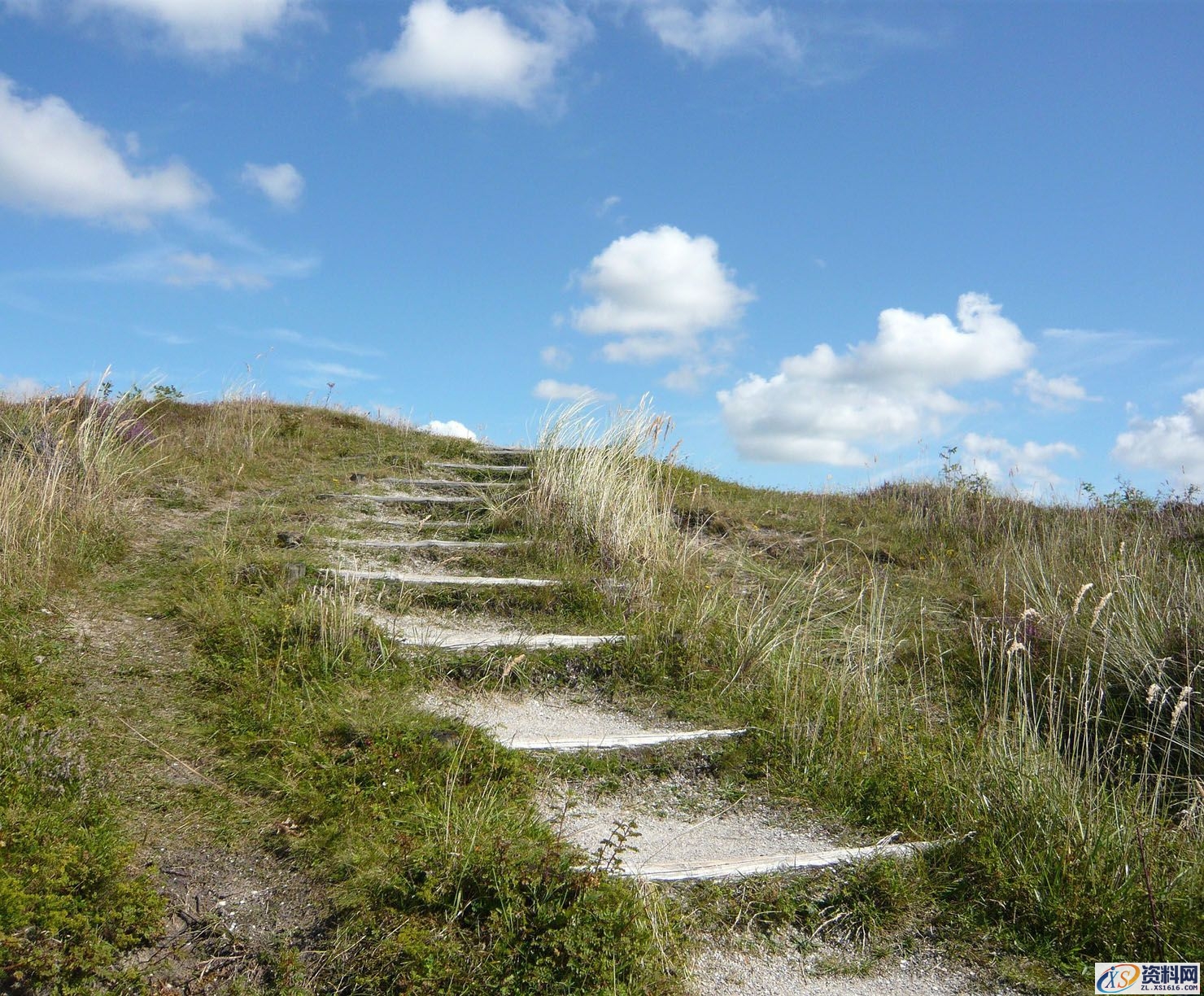 PS合成小孩走入奇幻森林场景教程(图文教程),设计,一般,选择,第42张 PS合成小孩走入奇幻森林场景教程(图文教程),PS合成小孩走入奇幻森林场景教程,设计,一般,选择,第42张