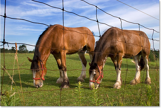 同呼吸共命运!手把手教你给图像加上逼真的蓝天效果(图文教程) ...,选择,加强,第2张 同呼吸共命运!手把手教你给图像加上逼真的蓝天效果(图文教程) ...,photoshop-sky1,选择,加强,第2张