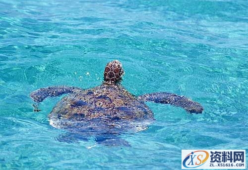 光线理论-自然光(图文教程),结构,一般,这个,第5张 光线理论-自然光(图文教程),光线理论-自然光,结构,一般,这个,第5张