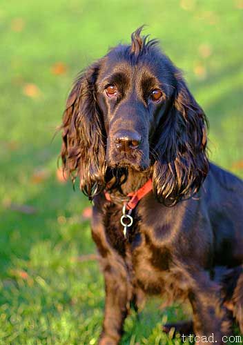 光线理论-自然光(图文教程),结构,一般,这个,第9张 光线理论-自然光(图文教程),光线理论-自然光,结构,一般,这个,第9张