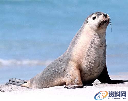 光线理论-自然光(图文教程),结构,一般,这个,第4张 光线理论-自然光(图文教程),光线理论-自然光,结构,一般,这个,第4张