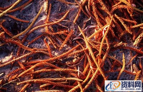 光线理论-自然光(图文教程),结构,一般,这个,第10张 光线理论-自然光(图文教程),光线理论-自然光,结构,一般,这个,第10张